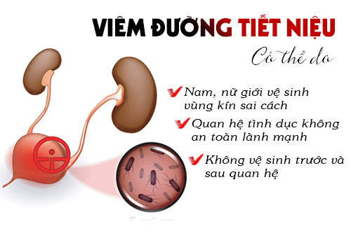 nguyen-nhan-viem-duong-tiet-nieu