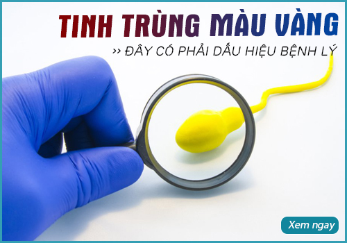 tinh trùng màu vàng