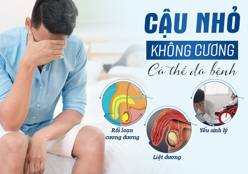 dương vật không cương