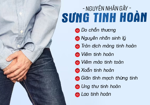 nguyên nhân sưng tinh hoàn