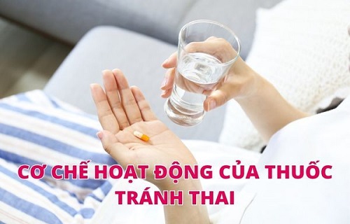 Cơ chế hoạt động của thuốc tránh thai khẩn cấp