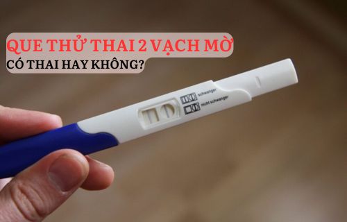 Kết quả que thử thai 2 vạch mờ có thai hay không?